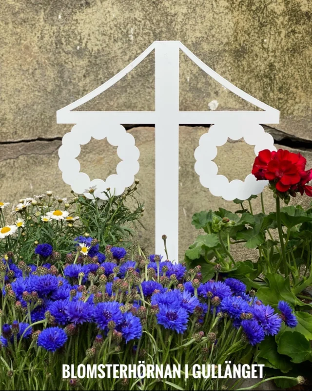 Vi har allt för en blomstrande midsommar 🇸🇪
Somriga buketter, ute- och inneväxter & fina gå-bort-presenter 💐
Välkommen in så hjälper vi dig med allt vi kan!

Veckans öppettider:
🌻 Tis & ons: 10–18
🌻 Torsdag: 10–16
🌻 Midsommarafton: 10–12

Hoppas vi ses på Blomsterhörnan! 🌸

#blomsterhornanovik #interflorablomsterhörnan #blommor #presenter #midsommar #buketter #gåbortpresent#örnsköldsvik